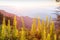 Beautiful time. Bright and colorful scenic landscape. Golden sunrise shines around the mountains and tropical forest, fresh fern