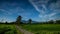 Beautiful timelapse of paddy field near the village in Kedah Malaysia