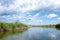 The beautiful Tisza lake with reeds and a flying night heron