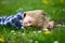 Beautiful toddler blond child, cute boy, lying in the grass in daisy and dandelions filed