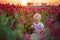 Beautiful toddler boy in gorgeous crimson clover field on sunset