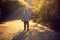 Beautiful toddler boy, walking on rural path on sunset, backlit