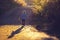 Beautiful toddler boy, walking on rural path on sunset, backlit