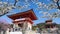 Beautiful Tokyo - Sensoji-ji, Temple in Asakusa, Japan