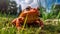 Beautiful tomato frog on the ground