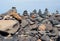 Beautiful towers of stacked pebbles and stones in a large arrangement on a black sand beach with blue sky