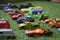 Beautiful toy cars arranged on green grass