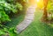 Beautiful track in a tropical Park and sunlight