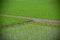 Beautiful traditional agricultural field stock photo