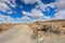 Beautiful Trailhead of the Mojave Desert Lava Tube