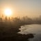 Beautiful tranquil landscape of misty swamp lake