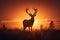 A beautiful, tranquil scene of a deer graciously standing in a field as the sun sets., A silhouette of a stag during the golden-