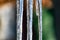 Beautiful, transparent and clean icicles at the sunset of the winter sun. Slippery, cold and smooth patterns of nature