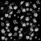 Beautiful transparent garden flowers on a black background. Monochrome pattern.