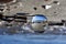 Beautiful transparent glass ball at the beach flips the view upside down/ Beautiful sea landscape