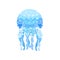 Beautiful transparent jellyfish sea creature vector Illustration on a white background