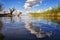 Beautiful tree an clouds reflecting on calm lake shore