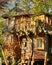 Beautiful tree house. A hotel high in the trees