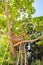 Beautiful tree house on Radhanagar Beach on Havelock Island - Andaman Islands, India