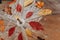 Beautiful tree leaves and raindrops on transparent umbrella