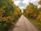 Beautiful tree-lined foot and bike path in autumn in Assiniboine Forest in Winnipeg, Manitoba, Canada