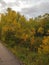 Beautiful tree-lined foot and bike path in autumn in Assiniboine Forest in Winnipeg, Manitoba, Canada