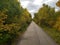 Beautiful tree-lined foot and bike path in autumn in Assiniboine Forest in Winnipeg, Manitoba, Canada