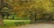 A beautiful tree-lined park path in New York City