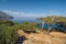 A beautiful tree in the middle of a field near Diafani, Karpathos island