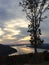 Beautiful tree, mountains, river and sky