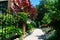 Beautiful Tree and Plant Lined Sidewalk with Residential Buildings in Rogers Park Chicago