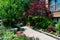 Beautiful Tree and Plant Lined Sidewalk with Residential Buildings in Rogers Park Chicago