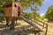 Beautiful treehouse  in the garden