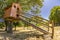 Beautiful treehouse  in the garden