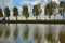 Beautiful trees, the beautiful poplar in the Flemish fields, water river in the foreground