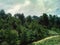 Beautiful trees, big sky blue, and green color