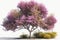 Beautiful Trees in bloom Spring Season, popular blooming trees