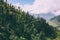 beautiful trees growing in scenic mountains, Indian Himalayas, Rohtang