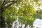 Beautiful trees and plants in the park  of the Golden Head, aka Parc de la Tete d'Or in Lyon, France