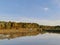 Beautiful trees and the reflection by the lakeside