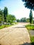 Beautiful trees on road - leaf, sky, trees