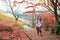Beautiful trekking girl backpacker travel to japan in autumn on mount wakakusa, natural red leaves