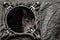 A beautiful tri-colored cat is spying out of the round hole of t