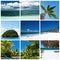 Beautiful tropic lifestyle collage