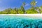 Beautiful tropical beach banner. White sand and coco palms travel tourism wide panorama background concept. Wonderful scenry