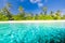 Beautiful tropical beach banner. White sand and coco palms travel tourism wide panorama background concept. Wonderful scenry