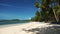 Beautiful tropical beach with coconut palm trees white sand and blue water