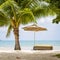 Beautiful tropical beach, palm tree, sea water, umbrella and sunbed on a sunny day. Thailand