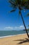 A beautiful tropical beach with palm trees in northern Australia, clifton beach, queensland, australia