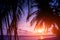 Beautiful tropical beach with palm trees. Sunrises and sunsets. Ocean